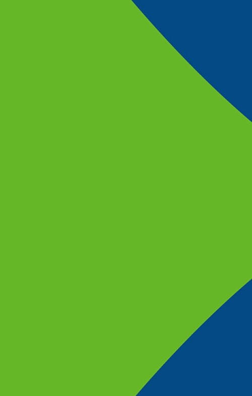 SAF Banner 