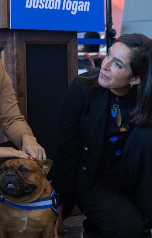 People with dogs at BOS Paws event