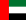 UAE Flag