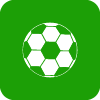 Soccer ball icon