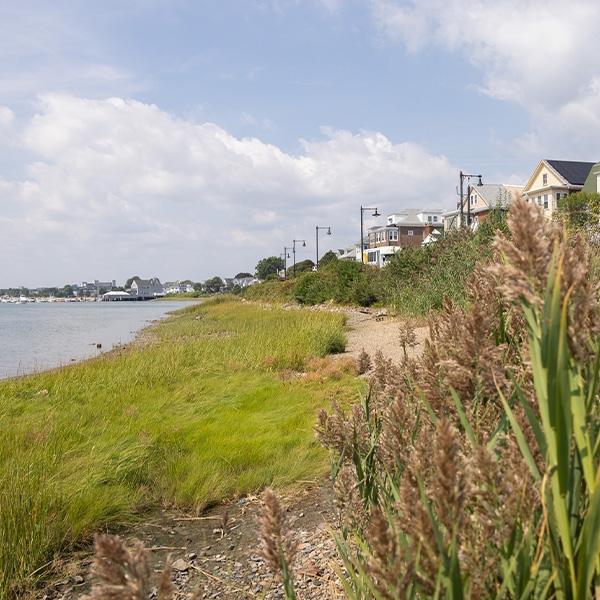 Grassy embankment along a cove in a residential neighborhood