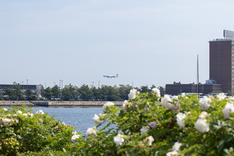 Plane landing in the background of park greenery