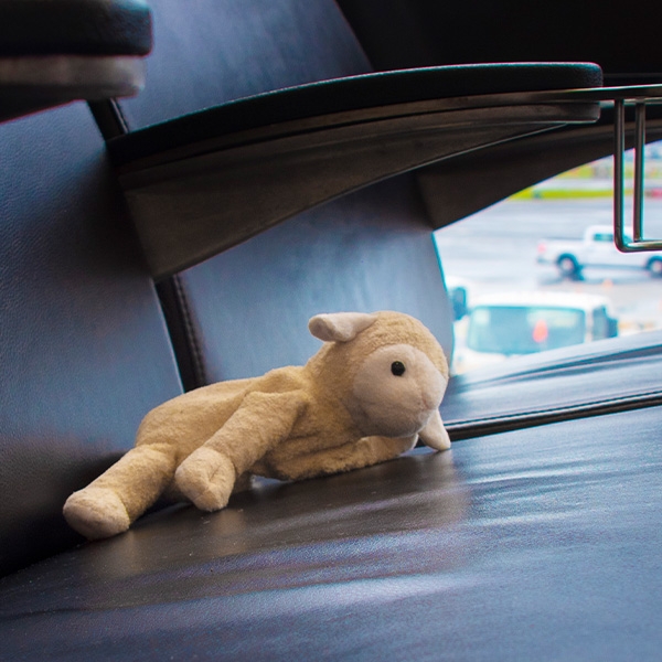 Stuffed animal on airport seating