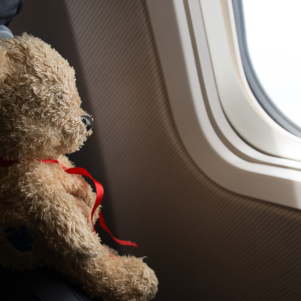Teddy bear lost inside plane