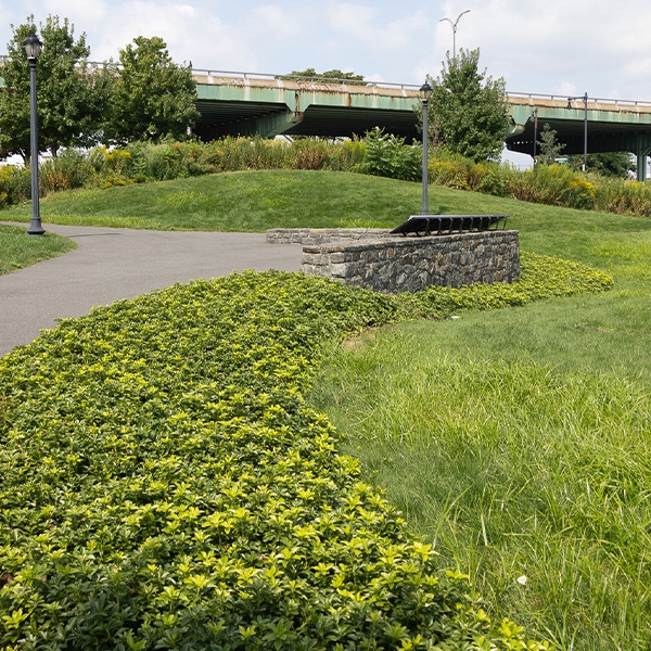 Public park with a stone wall