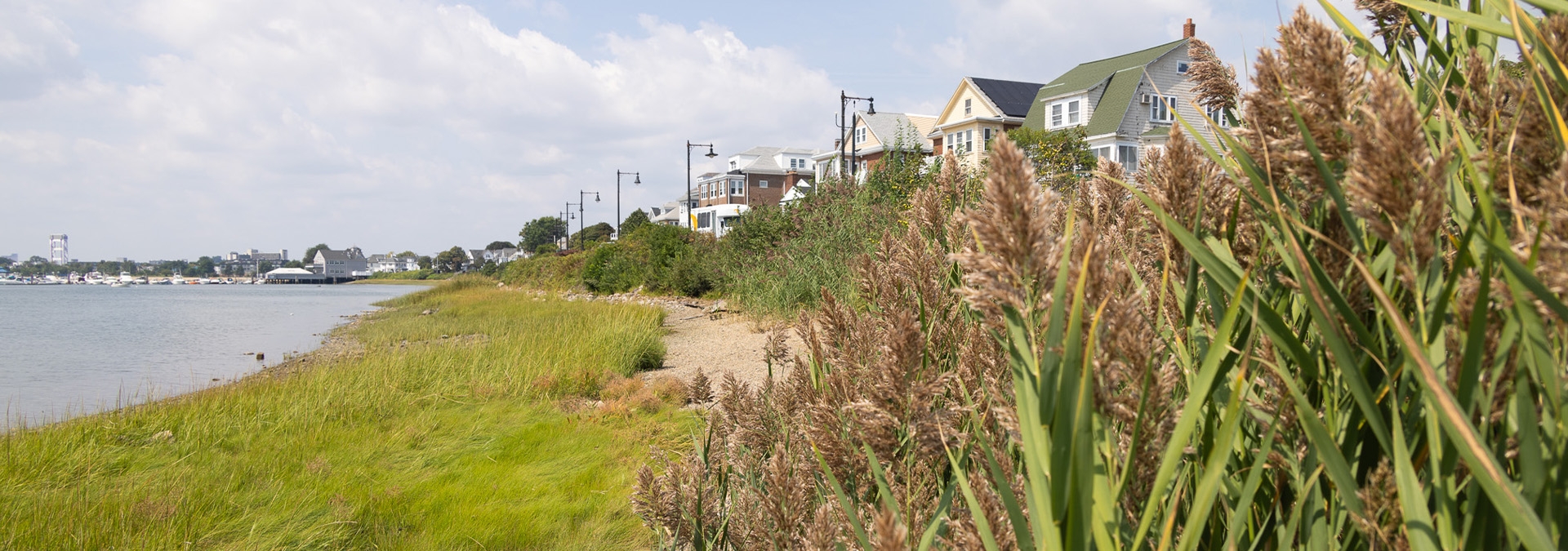 Grassy embankment along a cove in a residential neighborhood