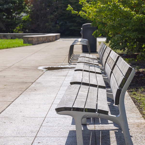 Line of benches in a park