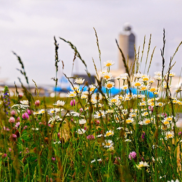 tower with flowers