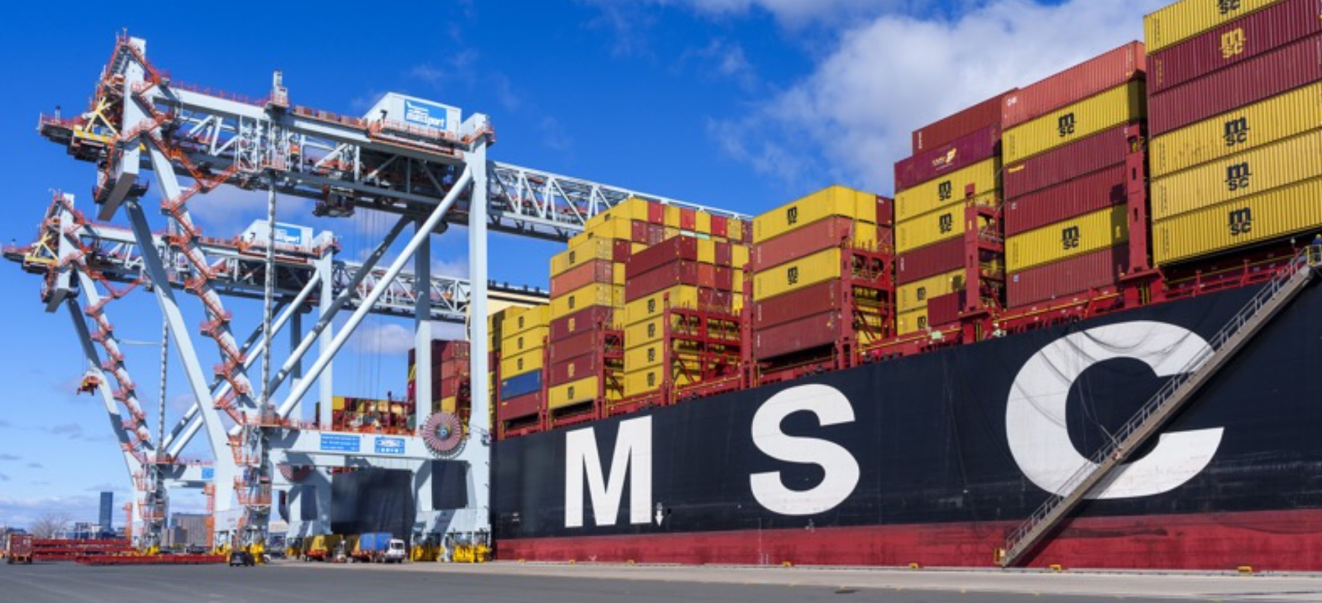 Cranes loading MSC cargo ship