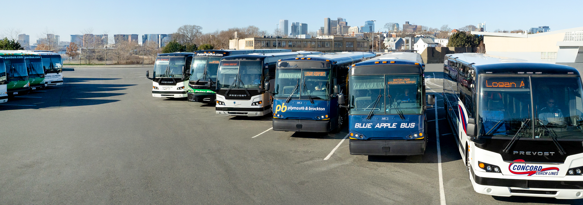 Private coach busses at Boston Logan
