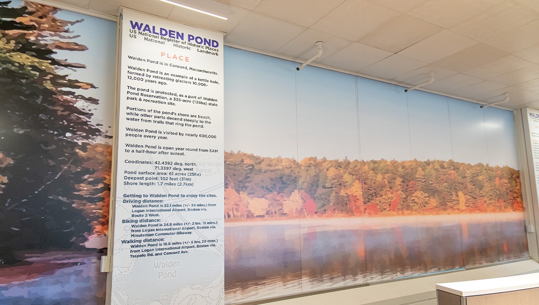Walden Pond Exhibit in Terminal E
