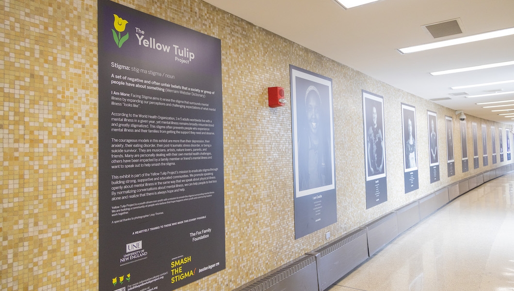 Yellow Tulip Exhibit