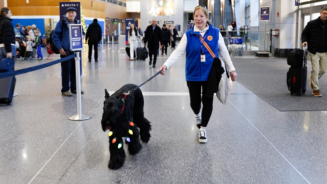 BOSPaws Puppy in Terminal A