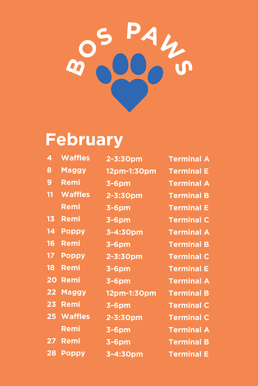 BOS Paws Schedule