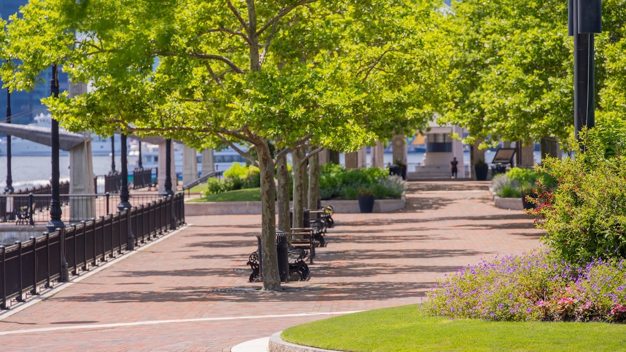 Piers Park 